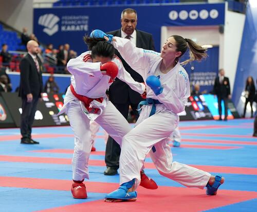  (Quelle: Karate Insights )